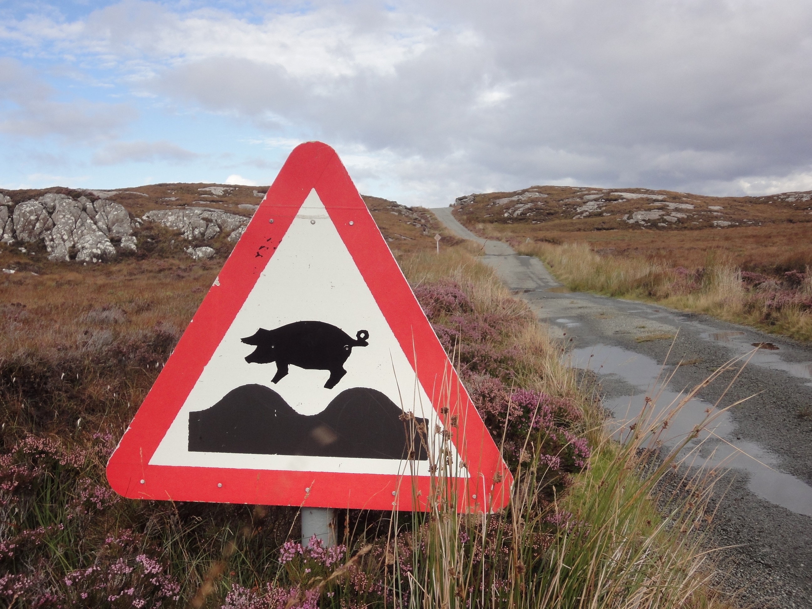 Calum's Road, Isle of Raasay